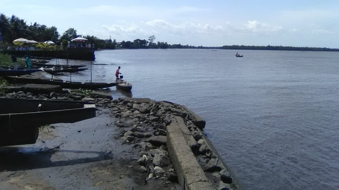 Pirogues alignées sur les eaux du Wouri, à Douala.