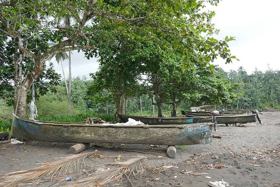 Pirogues de pêche creusées dans un tronc, posées sur une plage de sable noir à l'ombre des arbres