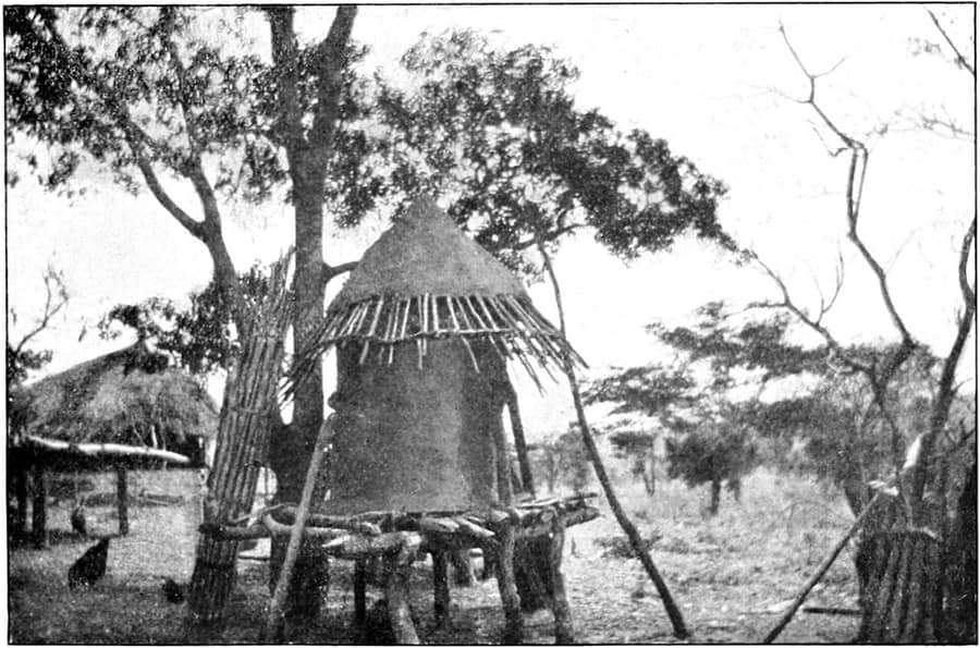 Un grenier sur pilotis dans un village macharanga (karanga, groupe shona), près d'Umtali, en 1906 : là où l'on garde le grain que les rats convoitent.